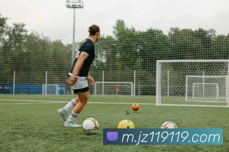 多媒体互动体验